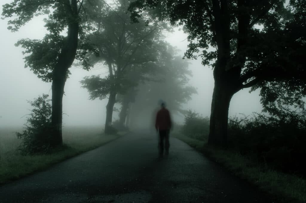 Die Silhouette einer Person, die an einem nebligen Tag eine von Bäumen gesäumte Straße entlanggeht. Die Bäume und der Boden sind leicht verschwommen, was die unheimliche, mysteriöse Atmosphäre verstärkt. Der Nebel verdeckt Details im Hintergrund und erzeugt ein Gefühl der Isolation.